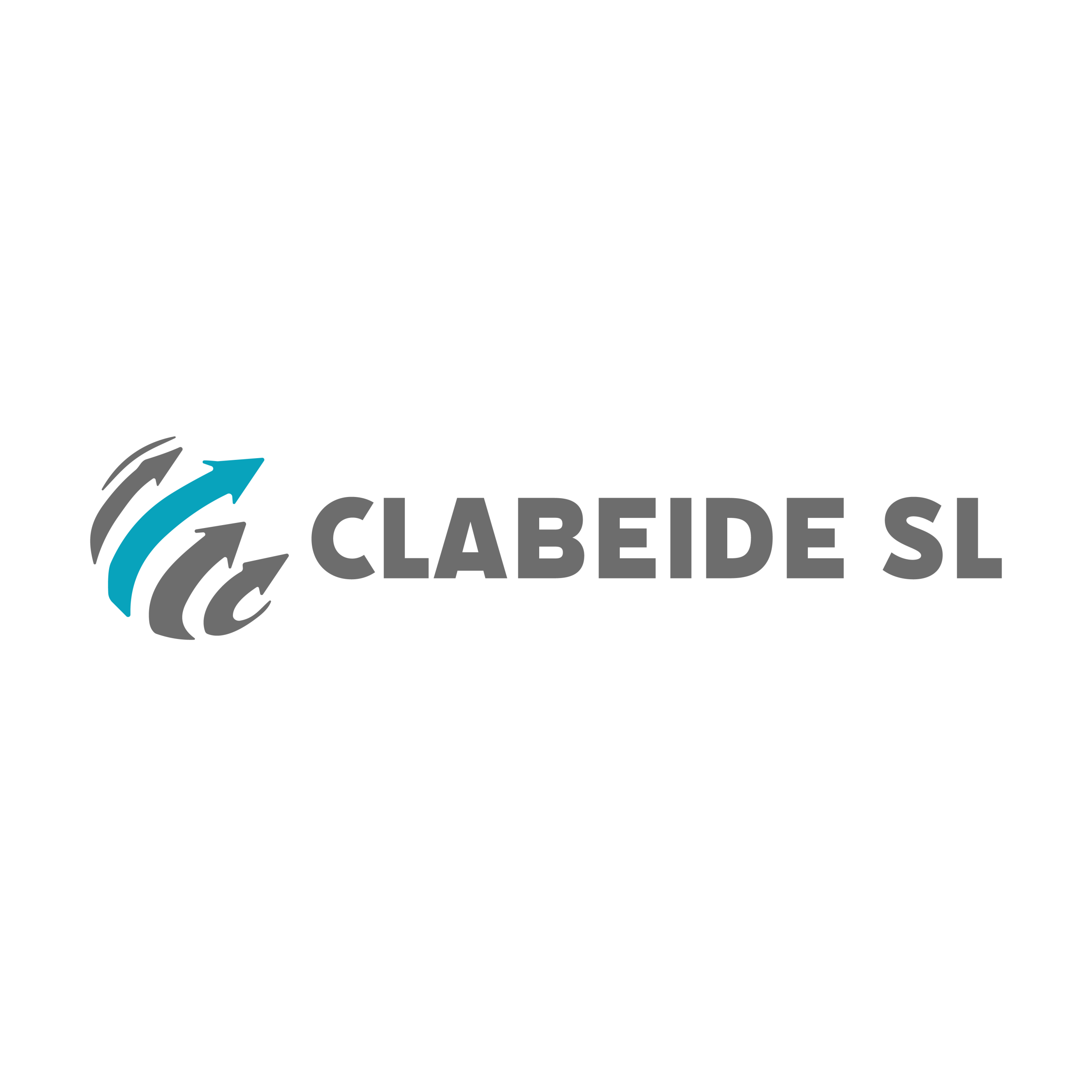 CLABEIDE SL Logo